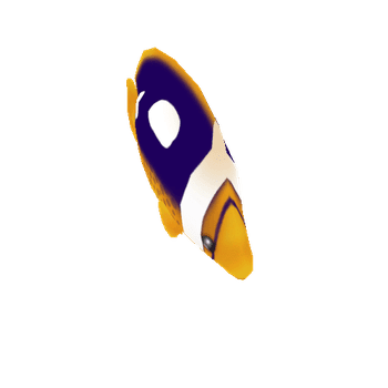 Lau_Hau4_Spot_Butterflyfish