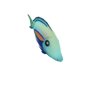 Na'ena'e_Orangeband_Surgeonfish