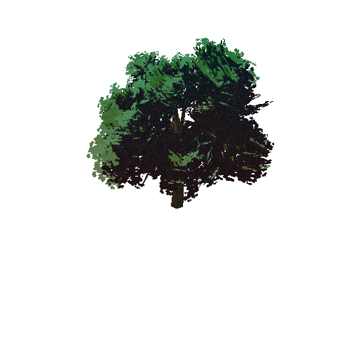 Tree02