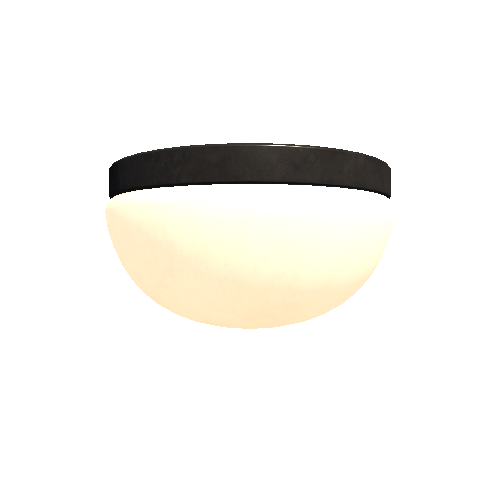 CeilingLamp