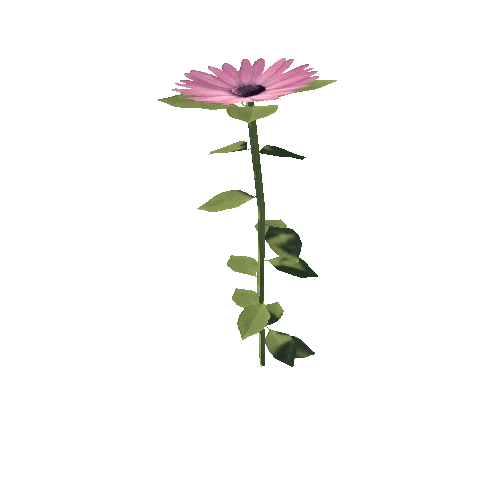 Flower_1B1