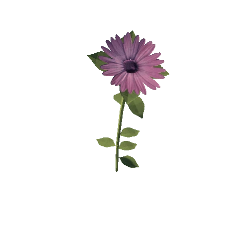 Flower_1B3