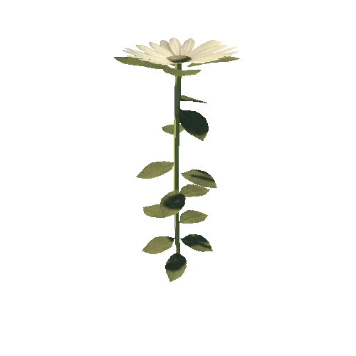 Flower_1C2