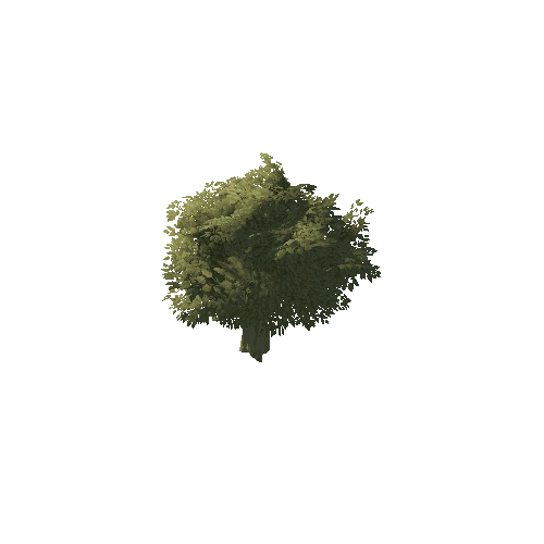 Mini_Tree_1A2