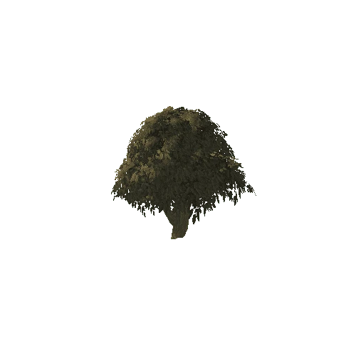 Mini_Tree_1A5
