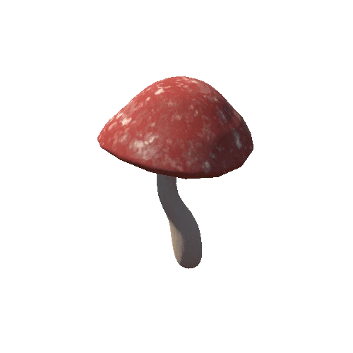 Mushroom_Large_A1