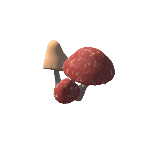 Mushroom_Large_A2