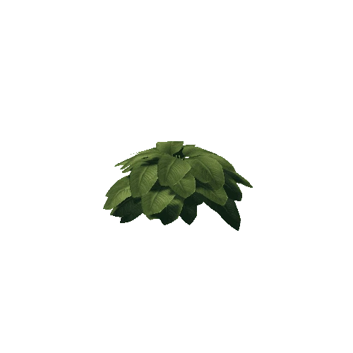 Plant_1A3