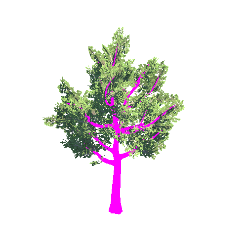 Tree_01