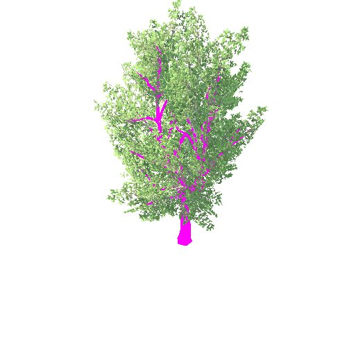 Tree_02