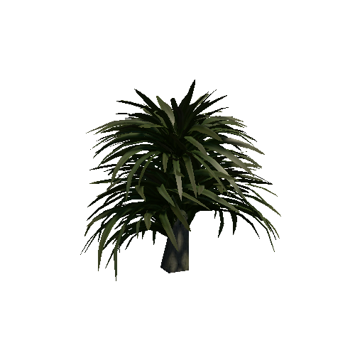 Palm_plant_01_02