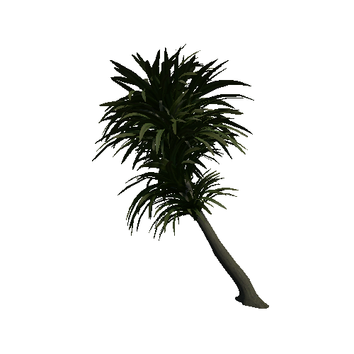 Palm_plant_02_01