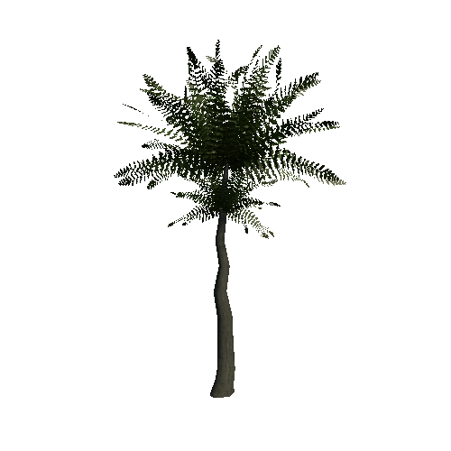 Palm_plant_03_01