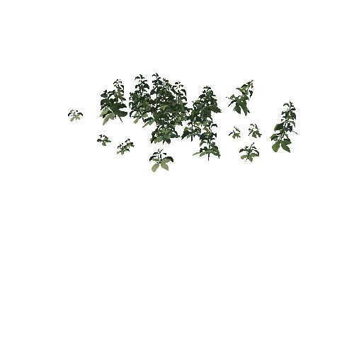 UnderBrush_Tree_03