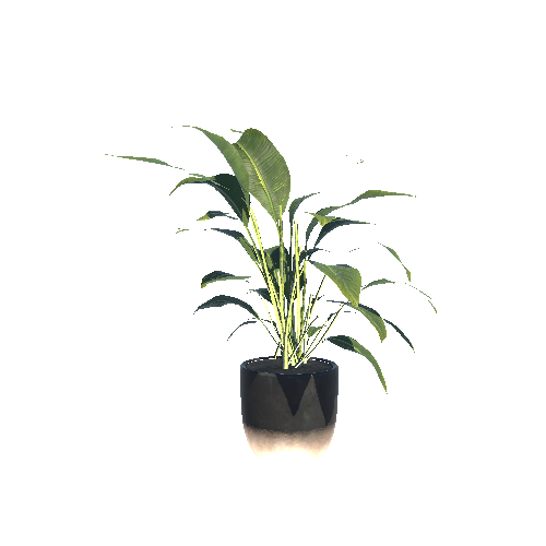 Plant_Bamboo