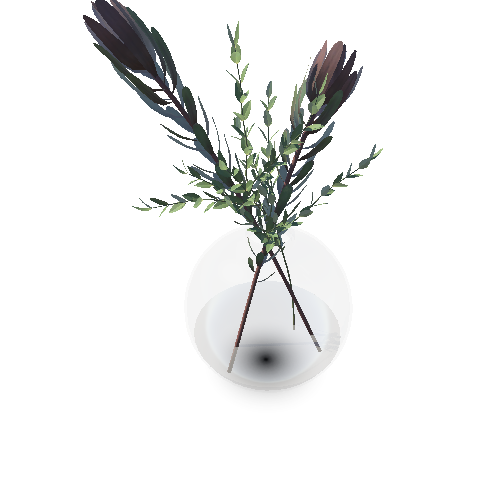Plant_Glass_Bowl3