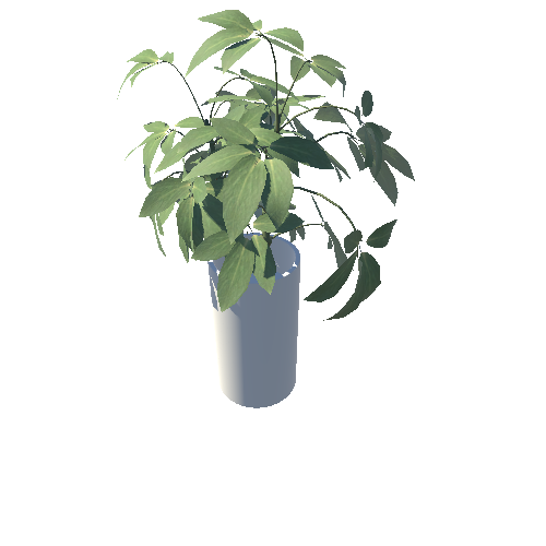 Plant_Glass_Bowl6