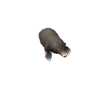 Mole