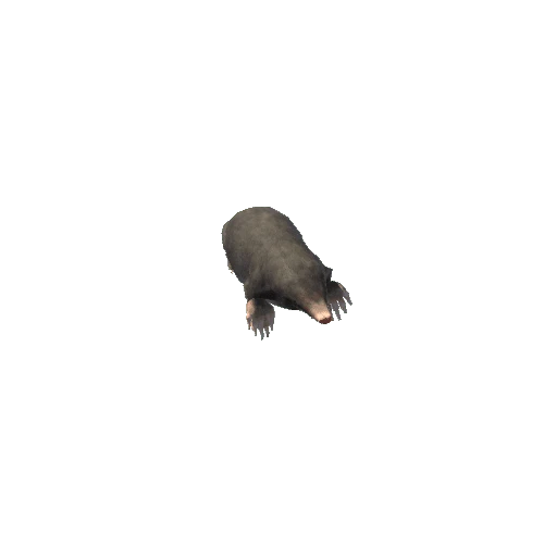 Mole