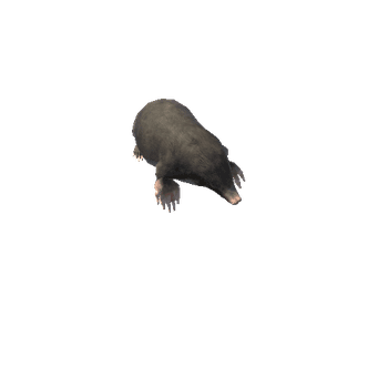 mole@digleft