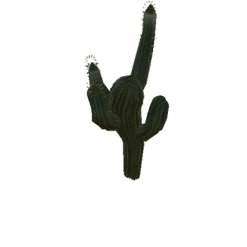 cactus_c