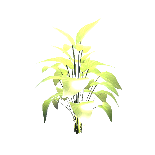 Plant5_Pot