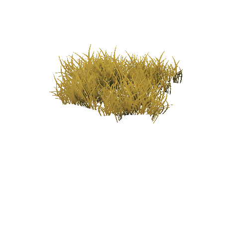 Grass_MediumGroup_Yellow