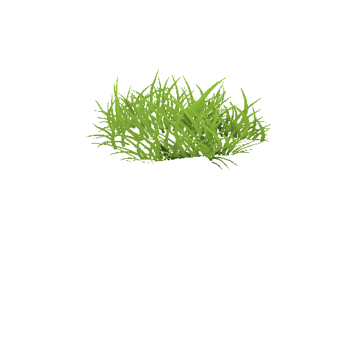 Grass_Small