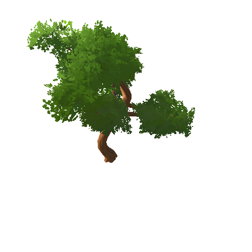 Tree_C_02