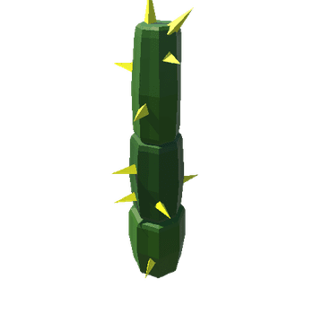 Cactus_09_B