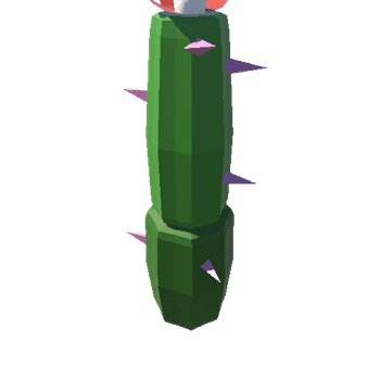 Cactus_10_B