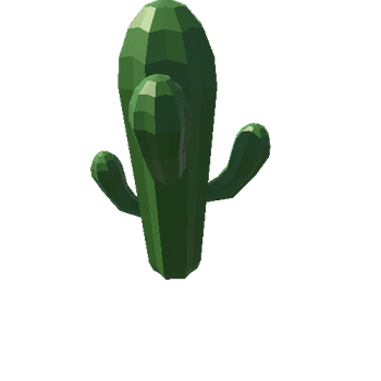 Cactus_17_A