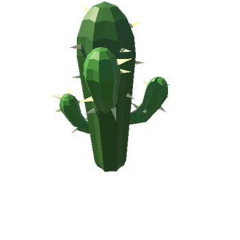 Cactus_17_B