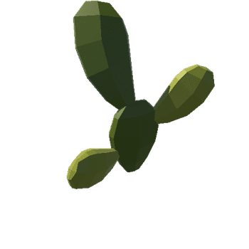 Cactus_27_A