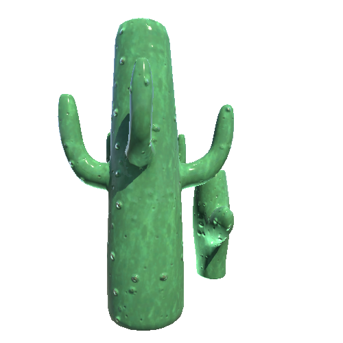 Cactus_Set