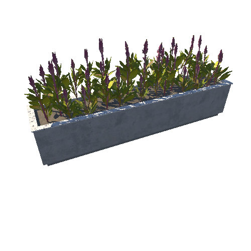 Plant_Bed_04