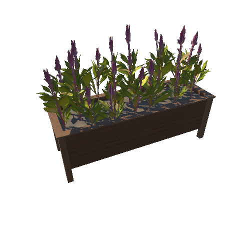 Plant_Bed_07