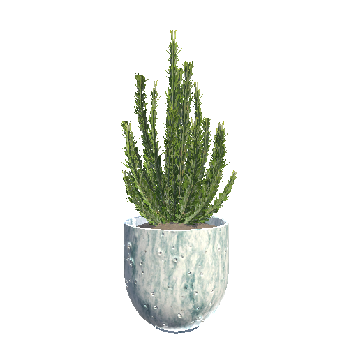 Plant_Pot_03