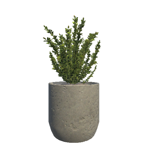 Plant_Pot_05