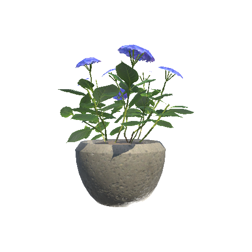 Plant_Pot_06