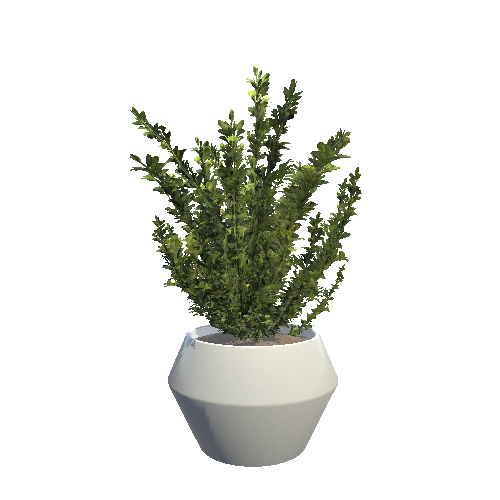 Plant_Pot_07