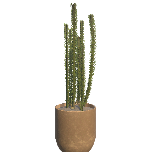 Plant_Pot_08