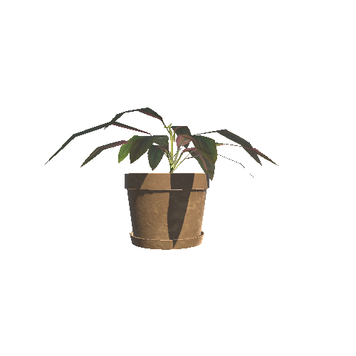 Plant_Pot_10