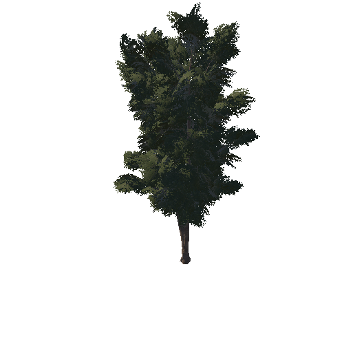 Tree_D