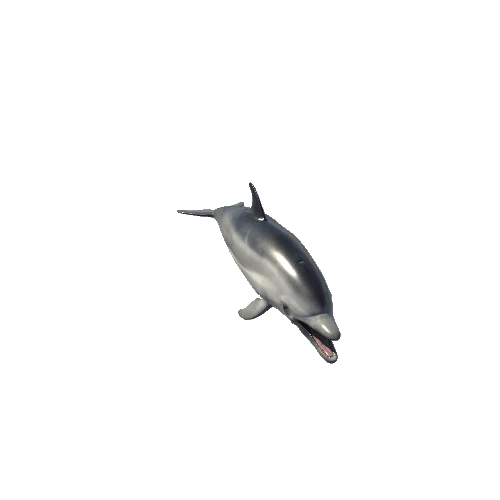 Dolphin