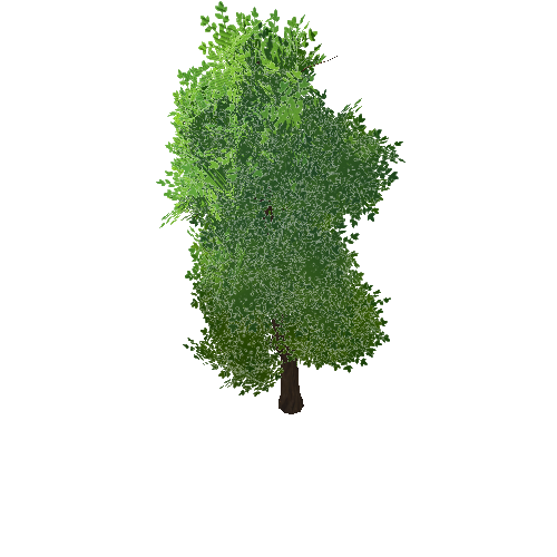 Tree2_2_LOD