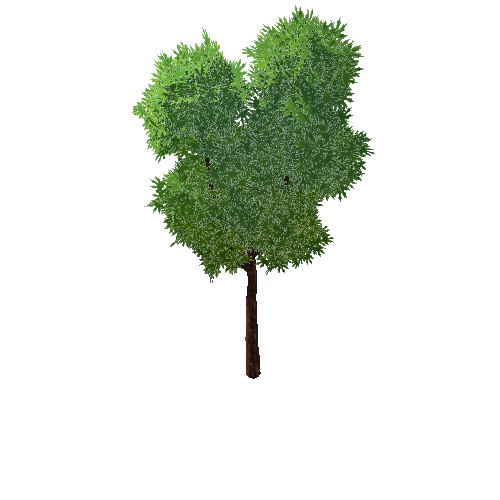 Tree3_1_LOD