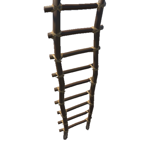 Ladder_01