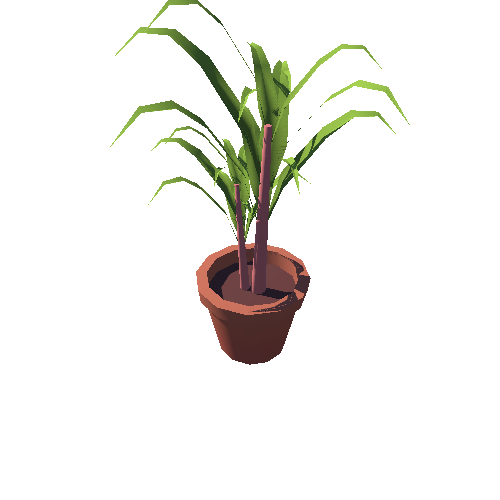P_Plant