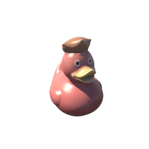 duck_03